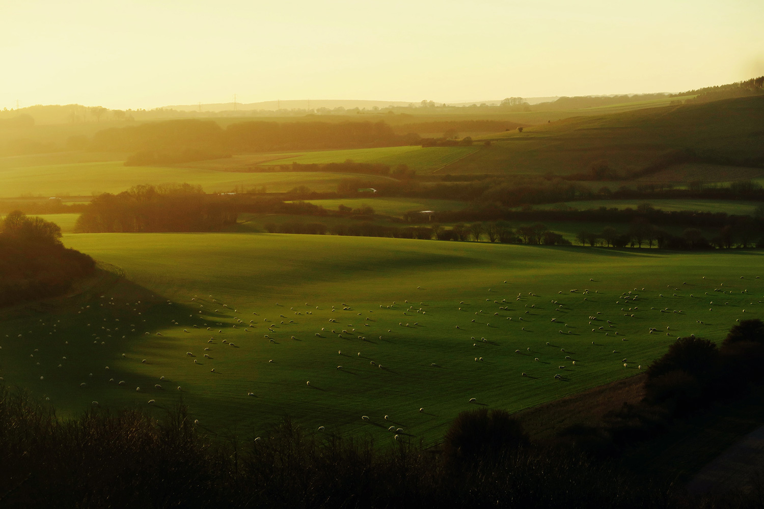 Cumbrian Fields