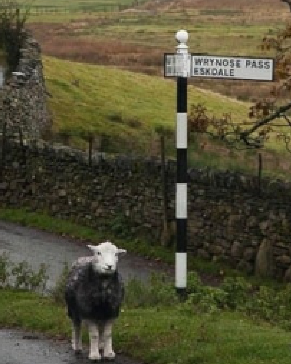 Village scene near The Shepherds Inn